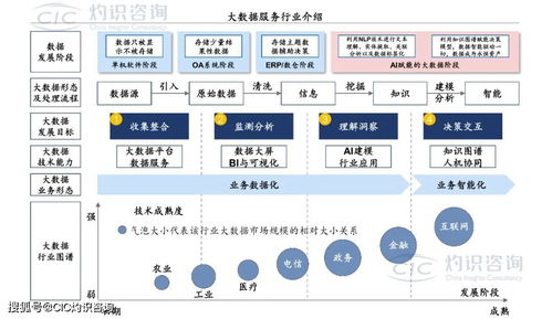 《中國商業大數據服務行業藍皮書》發布 洞見未來，數據賦能社會經濟咨詢新篇章